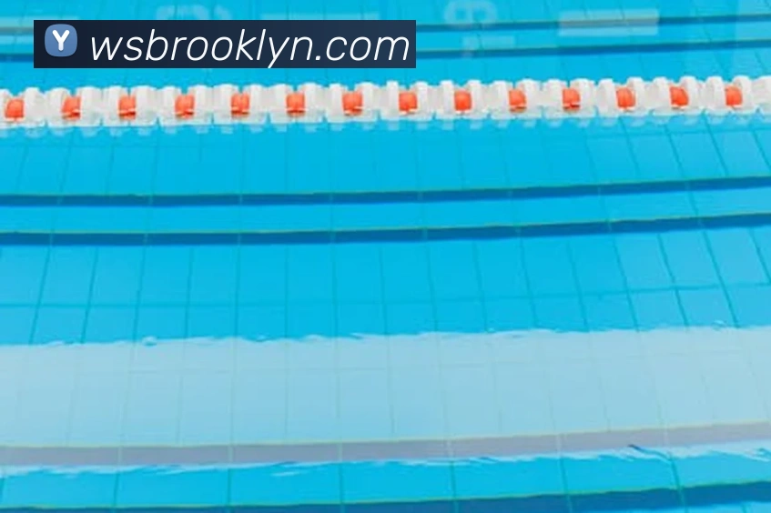 奖项证书